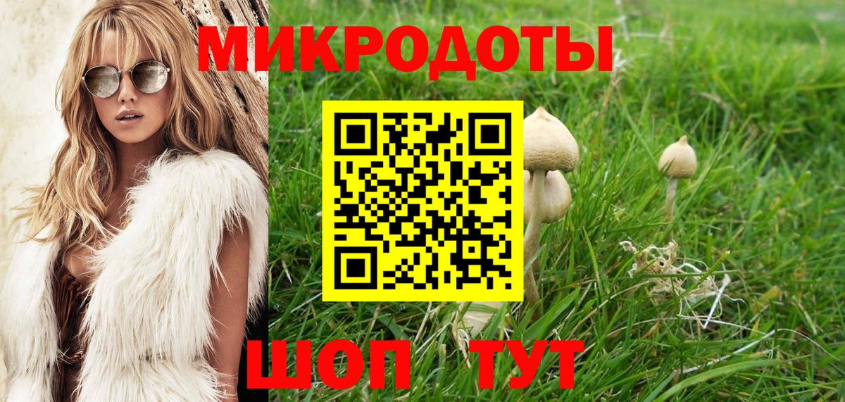 Псилоцибиновые грибы Psilocybe Казань