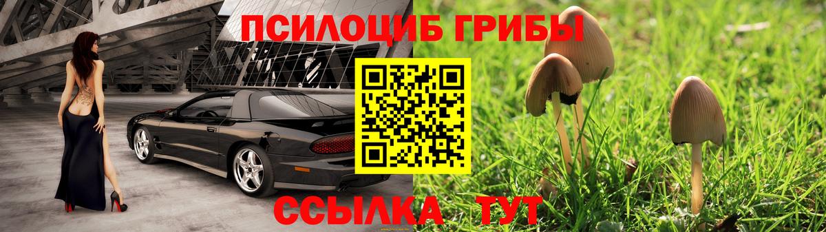Казань  Псилоцибиновые грибы Psilocybe  Вход с VPN 